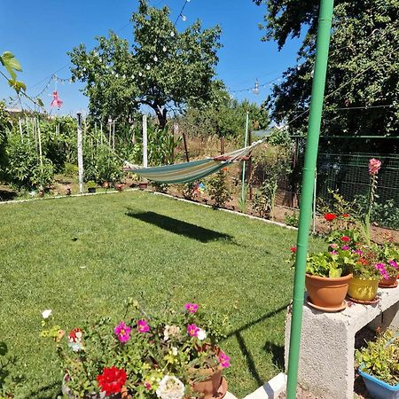 Casa Simona Două Mai Exterior foto