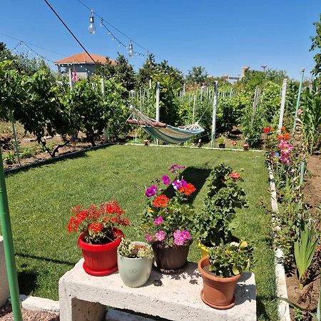 Casa Simona Două Mai Exterior foto
