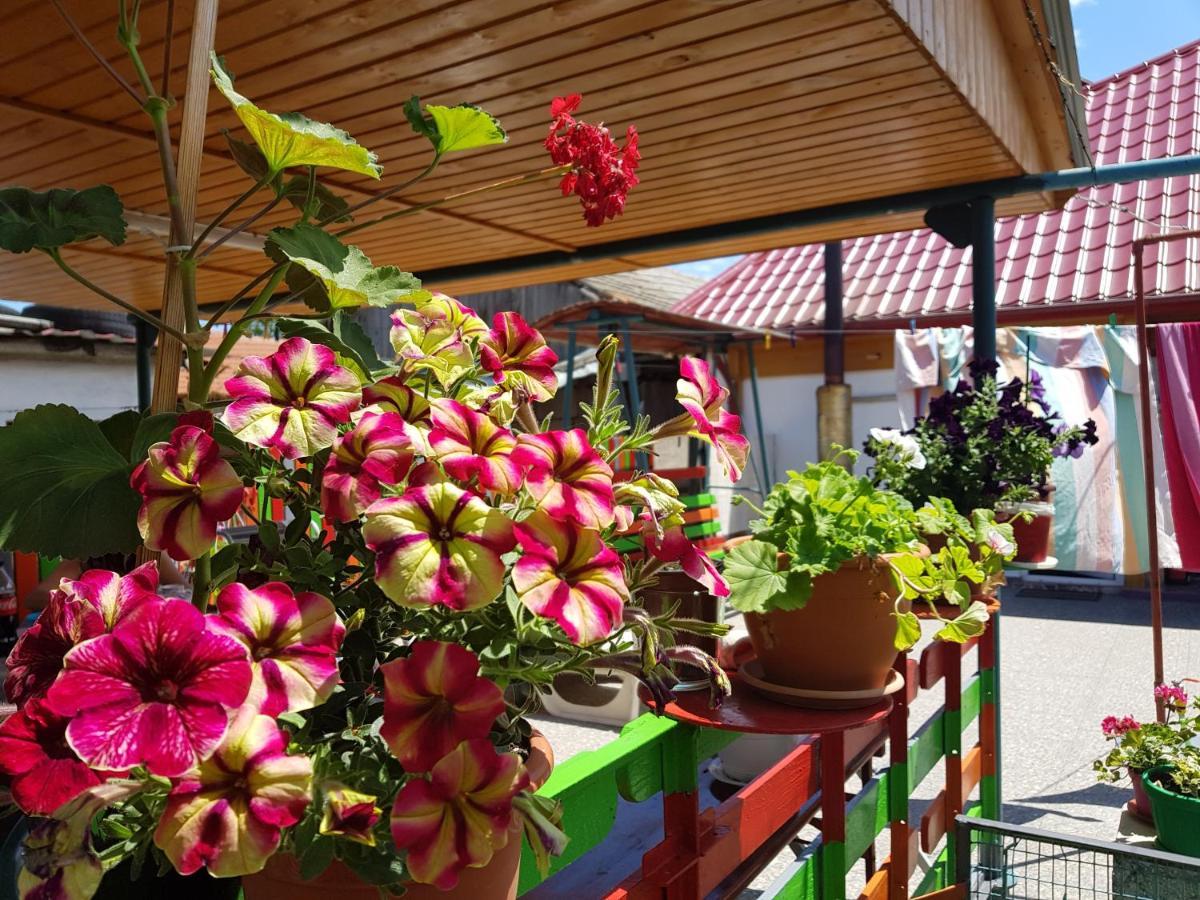 Casa Simona Două Mai Exterior foto