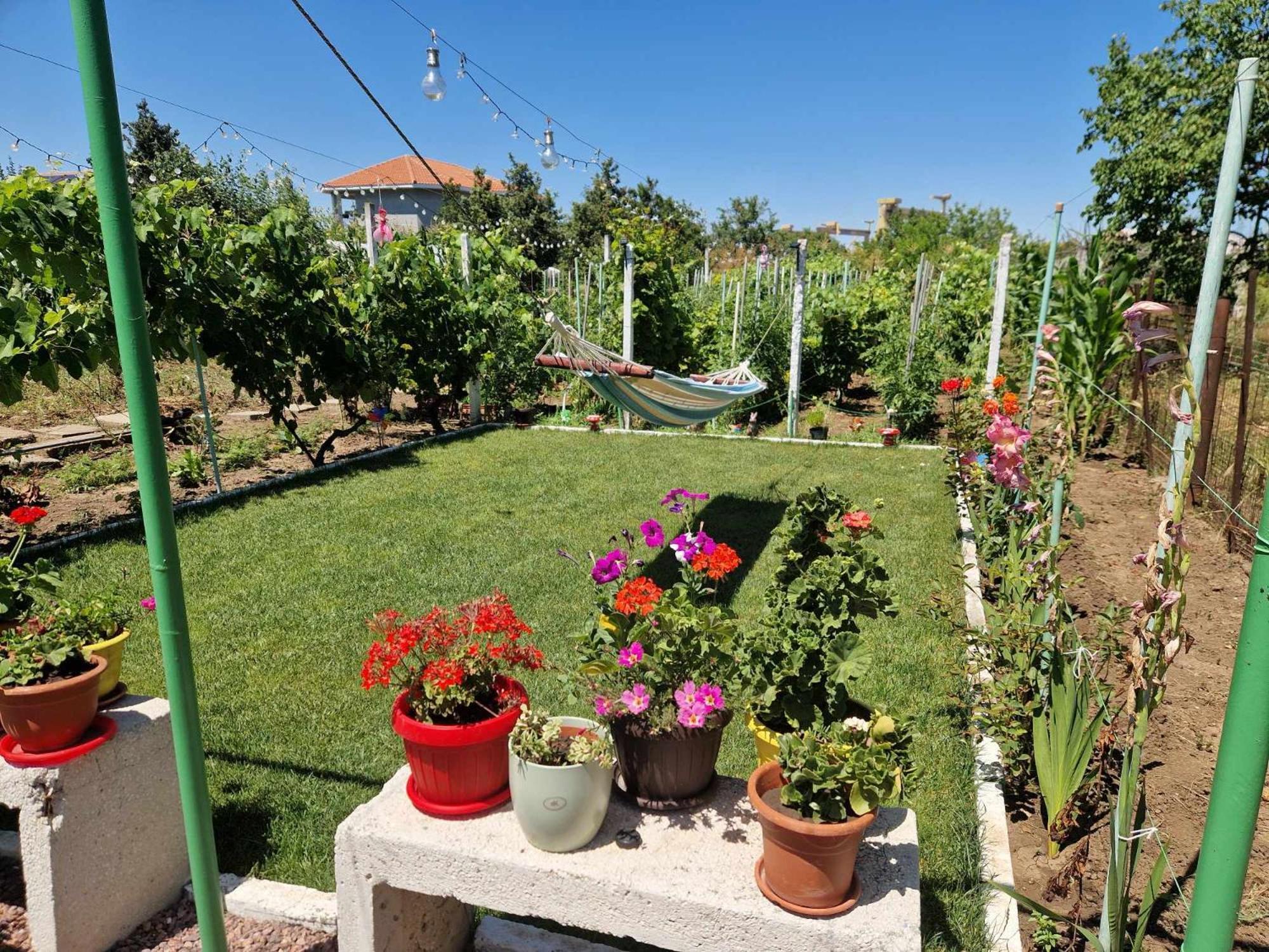 Casa Simona Două Mai Exterior foto